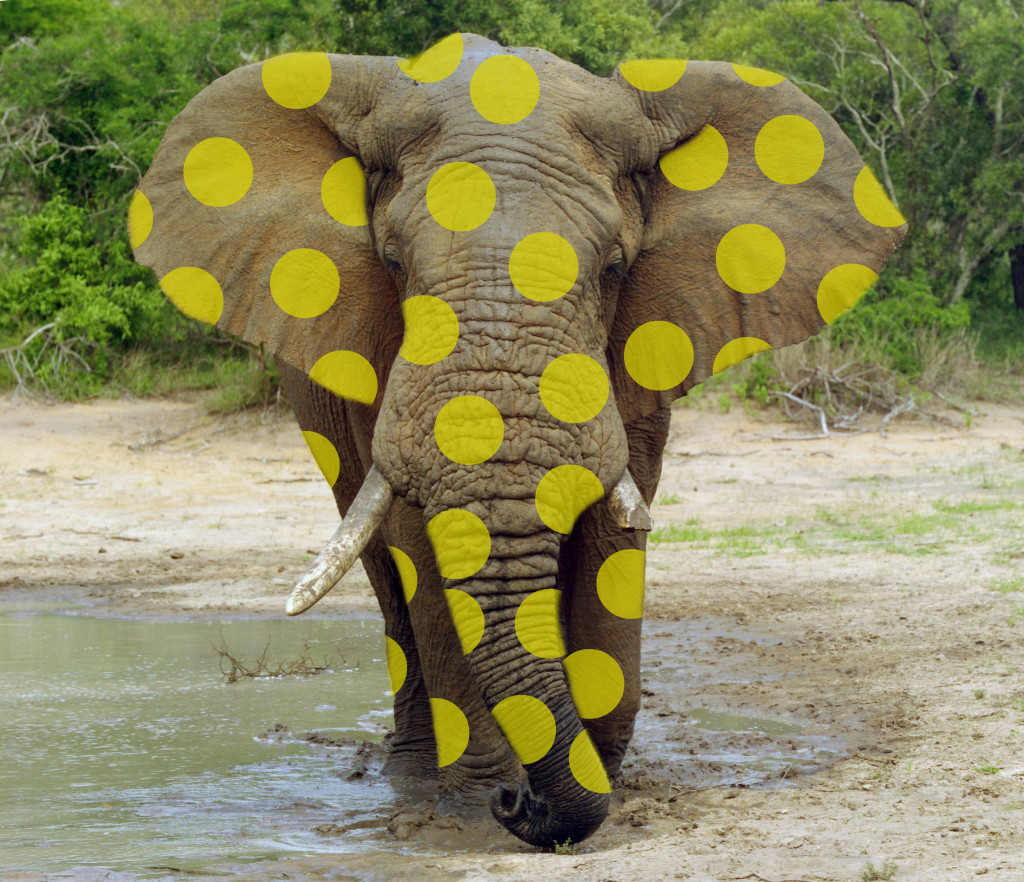polka elephant 2